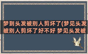 梦到头发被别人剪坏了(梦见头发被别人剪坏了好不好 梦见头发被别人剪坏了是什么意思)